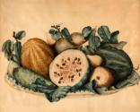 Peale,MararettaAngelica,MelonsandPears,1968.08