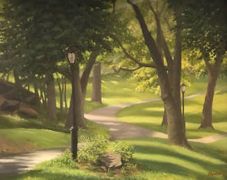 Shades of Light- Central Park