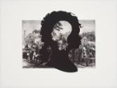 Kara Walker: Harper's Pictorial of the Civil War (Annotated)