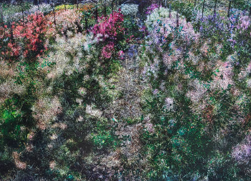 Flowers for Lisa #48 - Tent-Camera Image on Ground: Floret Flower Farm,