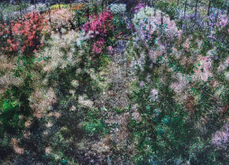 Flowers for Lisa #48 - Tent-Camera Image on Ground: Floret Flower Farm,