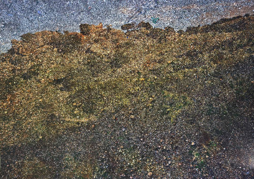 Tent-Camera Image on Ground: Landscape on the Outskirts of Toledo, Toledo, Spain