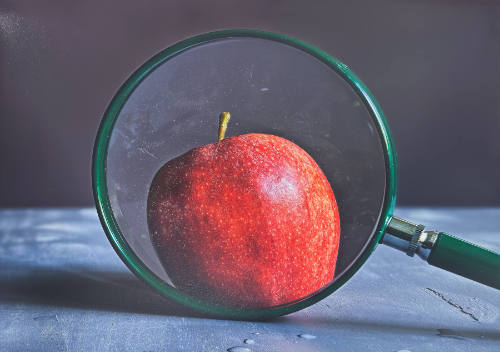 Apple and Magnifying Glass