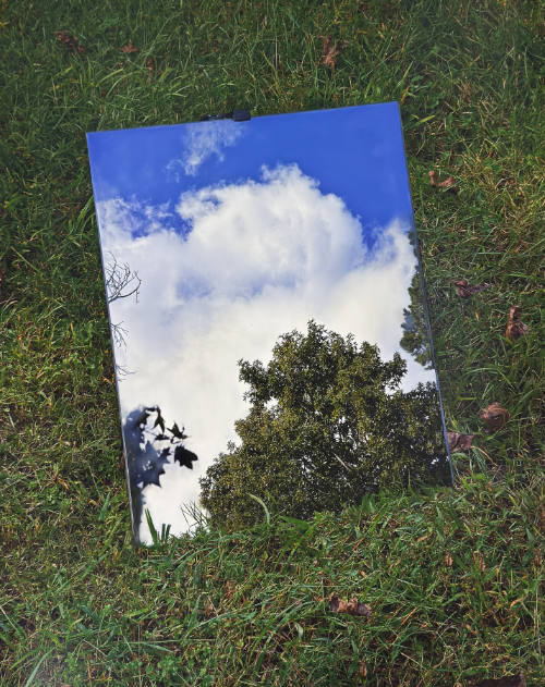 Cloud, Tree and Mirror