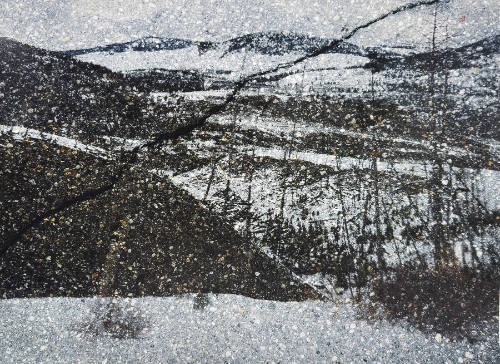 Tent-Camera Image on Ground: View of Garnet Hill, Yellowstone National Park, Wyoming,