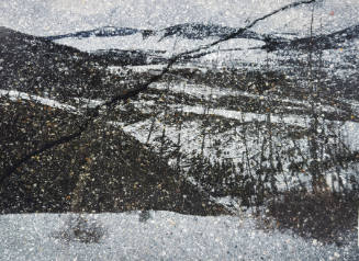 Tent-Camera Image on Ground: View of Garnet Hill, Yellowstone National Park, Wyoming,