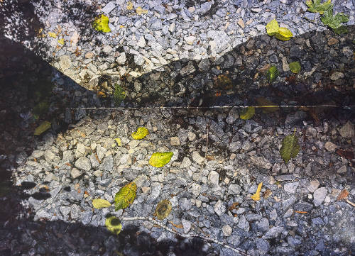 Tent-Camera Image on Ground: View of Lake Crescent Looking Northwest, Olympic National Park, Washington