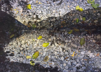 Tent-Camera Image on Ground: View of Lake Crescent Looking Northwest, Olympic National Park, Washington