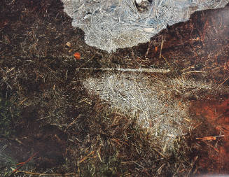 Tent-Camera Image on Ground: The Colorado River Looking South, Moab, Utah