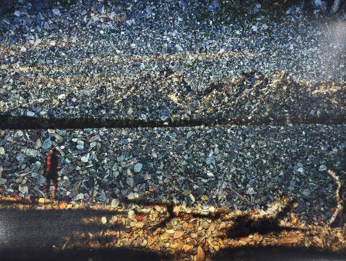 Tent-Camera Image on Ground: View of the Grand Tetons and Lake Jackson, Grand Teton National Park, Wyoming