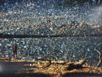 Tent-Camera Image on Ground: View of the Grand Tetons and Lake Jackson, Grand Teton National Park, Wyoming