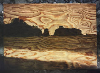 Tent-Camera Image on Ground: View of James Island on Plywood, Rialto Beach, Olympic National Park, Washington,