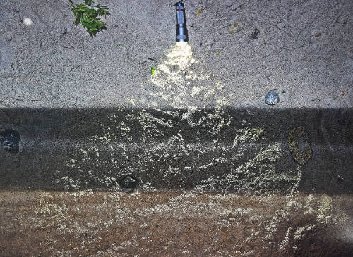 Tent-Camera Image on Ground: Beach, Wave, Ocean And Flashlight