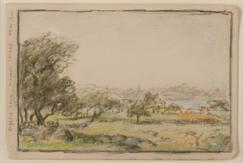 Mason's Island and Mystic Landscapes: Mason's Island East Side, June 18 - 07