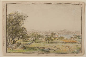 Mason's Island and Mystic Landscapes: Mason's Island East Side, June 18 - 07