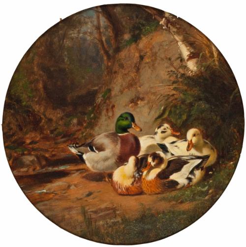 McDougal,James,ArthurFitzwiliamHart,Ducks in a Wood