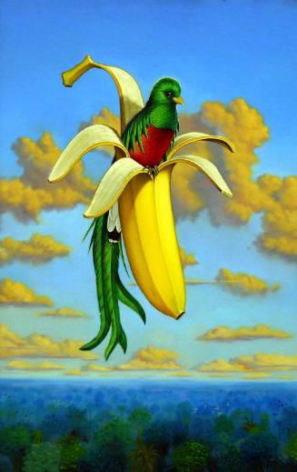 O'Brien,Tim, Parrot Emerging From Banana,1997.24