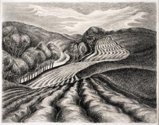 Gag,Wanda,PloughedFields,2004.42