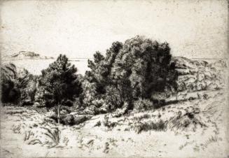 Dougherty,Paul,LandscapewithMassedTrees,1980.108