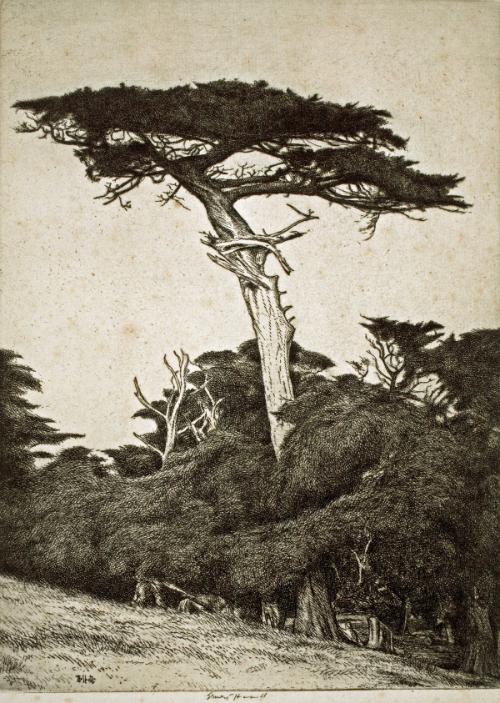 Haskell,Ernest,Dryad'sParasol,Monterey,1993.33