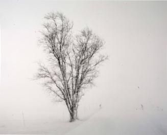 Ottenstein,David,Snowstorm,2009,2010.44