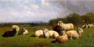 Hart,James,Sheep in the Meadow,2005.30