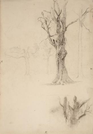 Richards,WilliamTrost,Trees,1953.41