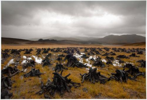 Anderson,Barry,Peat, Storm, Connemara, Ireland,2014.108