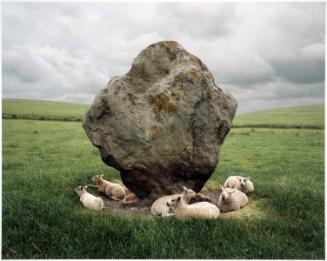 Anderson,Barry,Sheep and Standing Stone, Avebury, England,2014.109