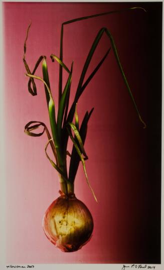 O'Neal,Jane,Yellow Onion, from Environmental Memory Home Grown series,2014.121