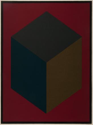Lewitt,Sol,CubewithColorsSuperimposed,1990.05