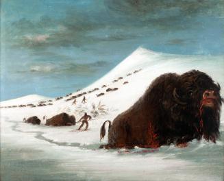 Catlin,George,Buffalo Hunt in Snow Shoes,1995.06(T)