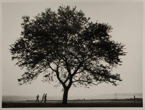 Silver,Larry,Fisherman,SherwoodIsland,1983.103