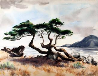 Peterson,Ann,Cypress-Monterey,1940.07
