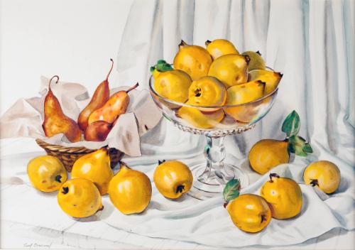 Broemel,Carl,Quinces and Pears,1964.44