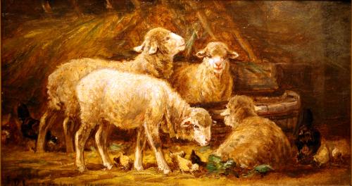 Lambs in a Barn