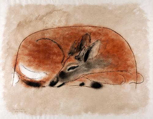 Culver,Charles,YoungDeer,Resting,1952.06