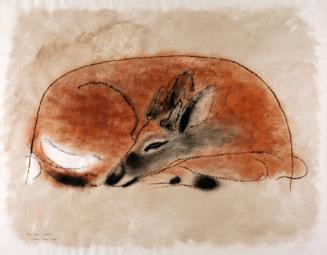 Culver,Charles,YoungDeer,Resting,1952.06