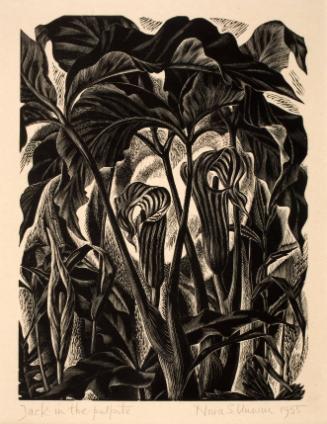 2012.4.5PF,Unwin,NoraSpicer,Jack-in-the-pulpits,
