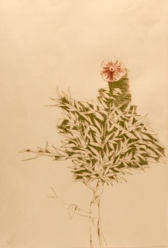 Baskin,Leonard,RedThistle,2011.66