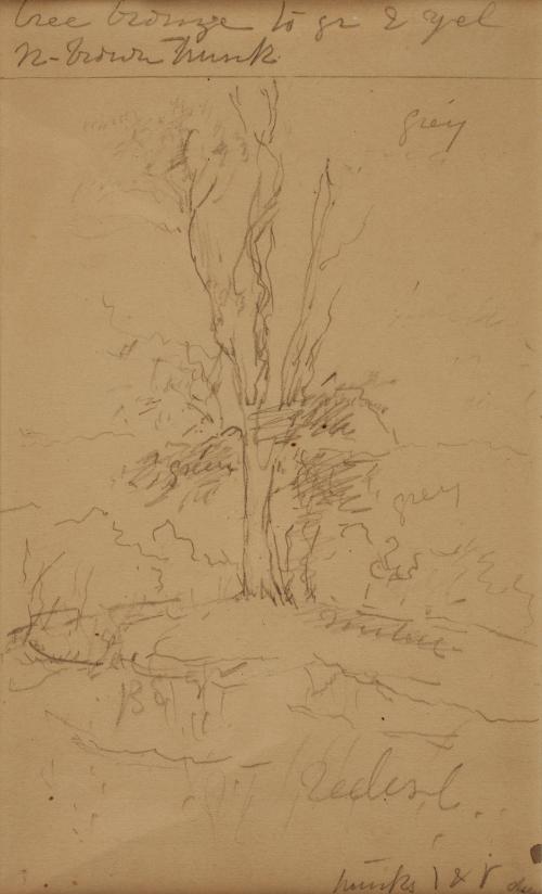 Cole,Thomas,TreewithNotes,1978.25