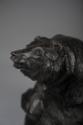 Borglum,Solon,Kaz,Bear with Raised Head,1974.37