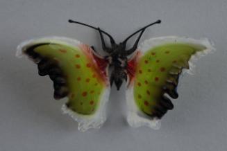 Santini,Emilio,Untitled (Butterfly),2012.50.436