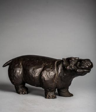 Baby Hippopotamus,1989.47