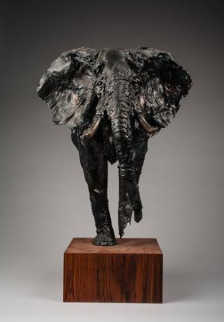 DiTarando,Roger,African Elephant,1981.39