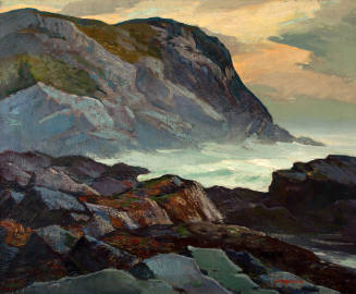 Bogdanove,Abraham J.,Blackhead,2016.1.9