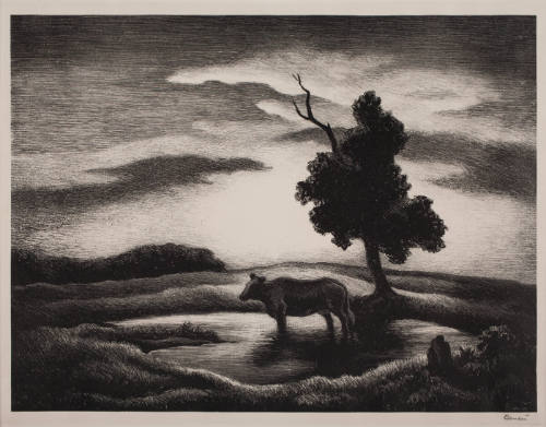 Sunset,1962.58