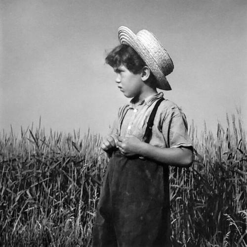 Amish Boy in Profile (from Fields of Peace series)