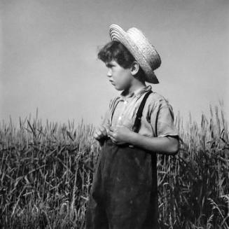 Amish Boy in Profile (from Fields of Peace series)