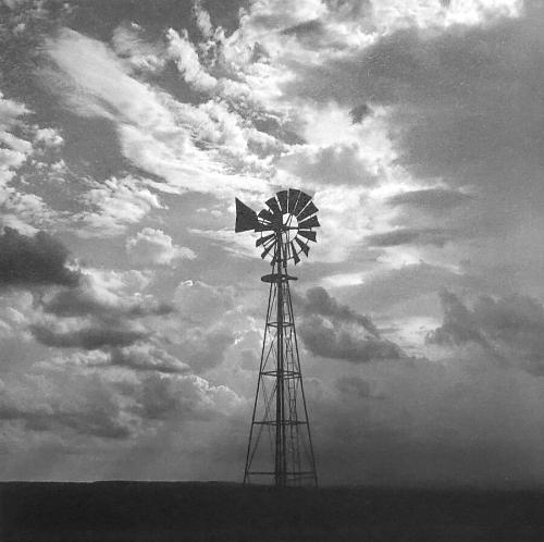 Windmill (from Fields of Peace series)